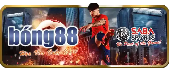 Cam kết của heloo88 nhà cái